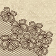 Old lace background, ornamental flowers.