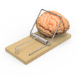 Brain caught in mousetrap