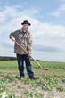 Farmer working in the fields