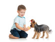 Foto: child feeding dog isolated on white child feeding dog isolated on white
