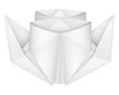 Origami steamship