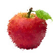 Vector: Red apple with leaf of blots vector isolated on white Red apple with leaf of blots vector isolated on white