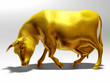 golden Cow grazing