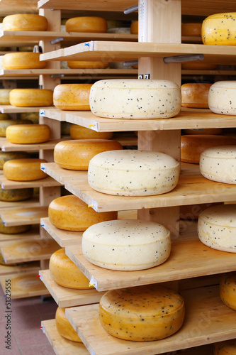Photo: alter und junger käse alter und junger käse