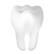 Vector illustration of tooth