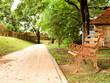 bench in the park