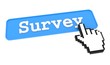 Illustration: Survey Button. Survey Button.