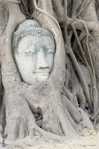 Photo: Buddha Head Ayutthaya Buddha Head Ayutthaya