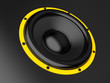 black speaker