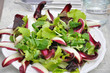 Salat mit Radiccio
