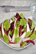 Salat mit Radiccio