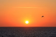 Photo: kitesurfer at sunset kitesurfer at sunset