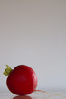 Radishes