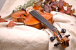 Close up of a violin and autumn leaves