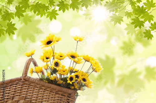 Photo: Yellow flowers in basket Yellow flowers in basket