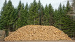 Stock de grumes