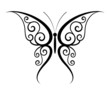 Butterfly tattoo