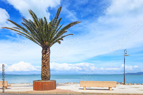 Photo: Palm tree, bench and lamp on the sea in Argentario, Italy. Palm tree, bench and lamp on the sea in Argentario, Italy.