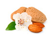 Almonds with leaves and flowers