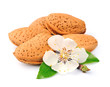 Almonds With Leaves And Flowers