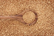 Soybean Flakes