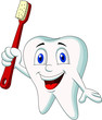 Cute tooth cartoon holding tooth brush