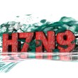 virus - h7n9