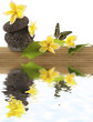 concept détente : bambou, galets, papillon, fleurs
