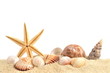 Muschel und sand