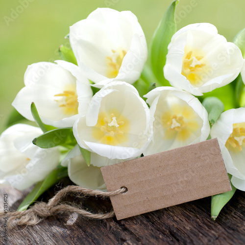 Photo: Label, tulips Label, tulips