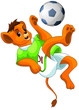Lion Ball Footbal Clipart Cart...