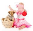 girl plays with a puppy. isolated on white