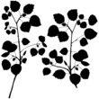 Branch Silhouettes