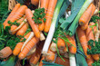 Mixed vegetables