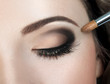 Make-up. Eyebrow Makeup. Eyes