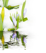 Warten auf den Frühling, Tauwetter