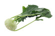 Kohlrabi; Beschneidungspfad