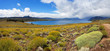 Lanin National Park, Patagonia, Argentina