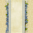 Vintage superb background  with lace and blue flowers