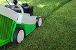 Mowing the lawn
