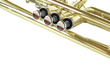 Trumpet on white  background