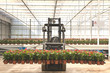 Tractor to transport plants