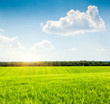 field