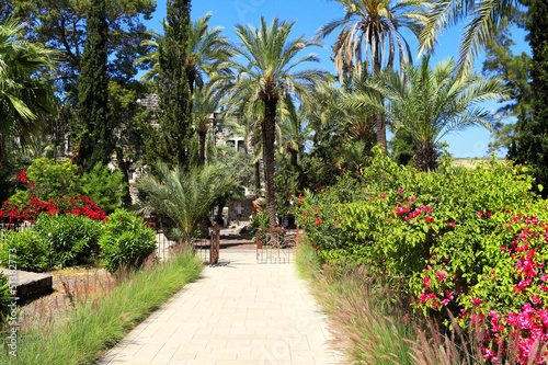 Photo: Tropical garden Tropical garden