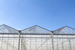Greehouse with blue sky