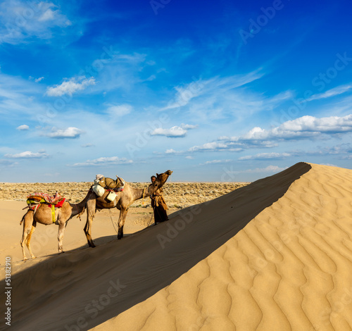 Photo: Cameleer (camel driver) with camels in dunes of Thar desert. Raj Cameleer (camel driver) with camels in dunes of Thar desert. Raj