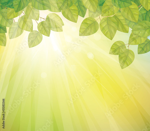 Vector: Vector of green leaves on sunny sky background. Vector of green leaves on sunny sky background.