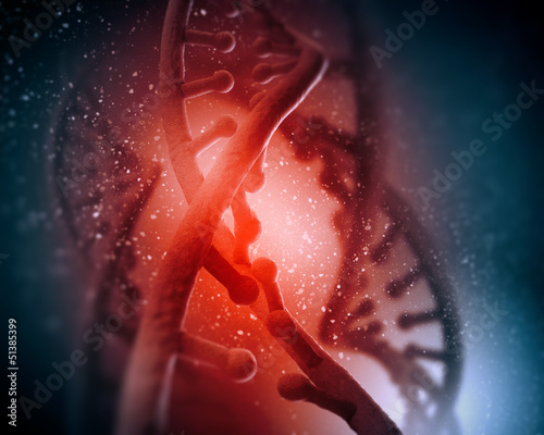 Illustration: DNA molecule DNA molecule