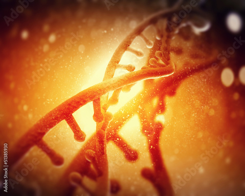 Illustration: DNA molecule DNA molecule