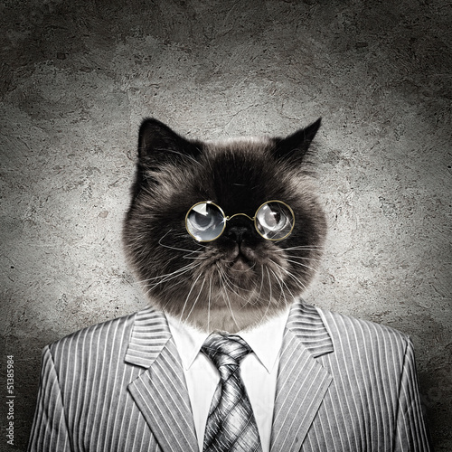 Photo: Funny fluffy cat in a business suit Funny fluffy cat in a business suit